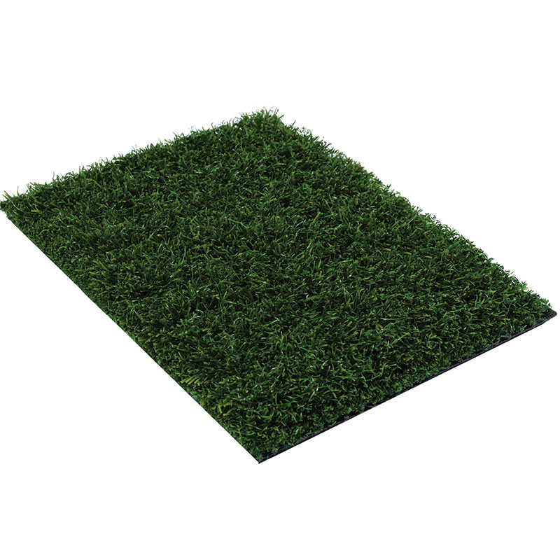 bahia artificial grass turf
