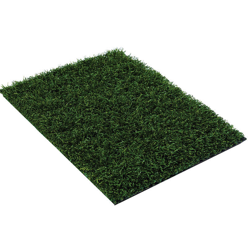 bahia artificial grass turf