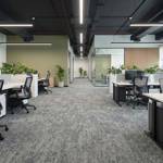 british carpet mills sky gardens 576 carpet tiles in work office