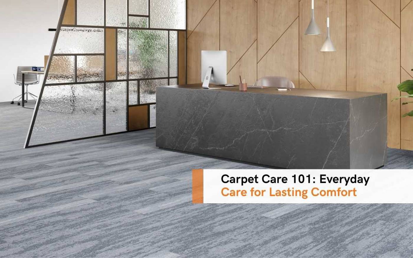 Carpet Care 101 Everyday Care For Lasting Comfort
