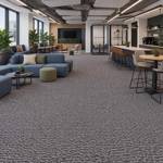 Wall To Wall Carpet Office Lounge With Collaborative Spaces CRP BLT ACE 05