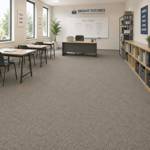 Wall To Wall Carpets BCM Grand Escape CRP STDCRP GRDESC 07 Organized Tutoring Space