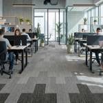 british carpet mills sig aut carpet in office area