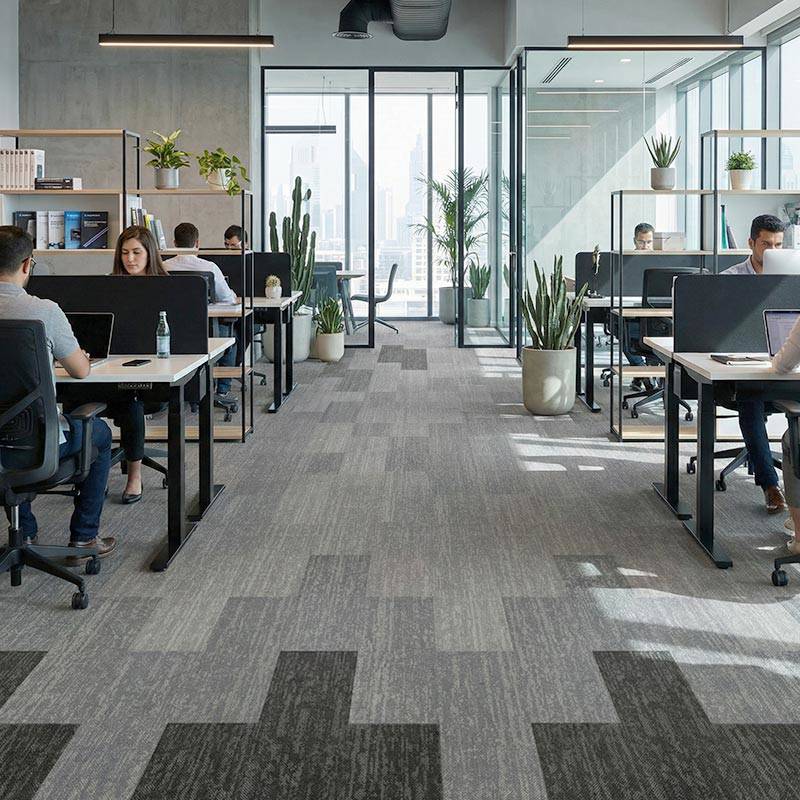 british carpet mills sig aut carpet in office area