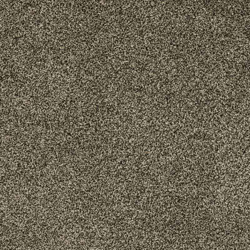 Standard Carpet Magic Moment CRP STDCRP POSH60 10