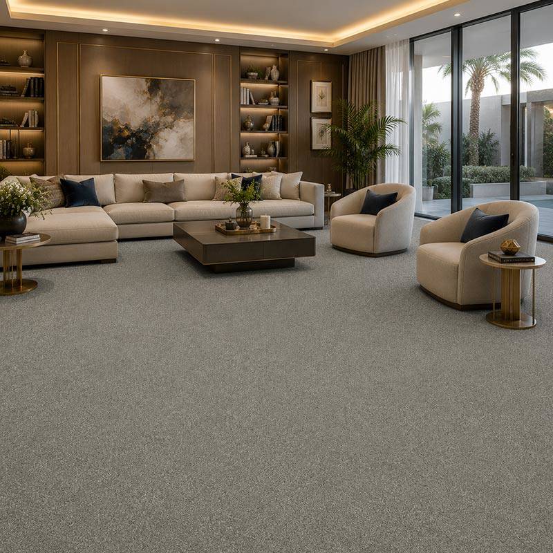 Wall To Wall Carpet Standard Carpets Magic Moment CRP STDCRP POSH60 06 Modern Luxury Living Room
