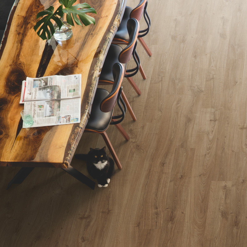 quick step new castle oak brown laminate floor in dining space with cat