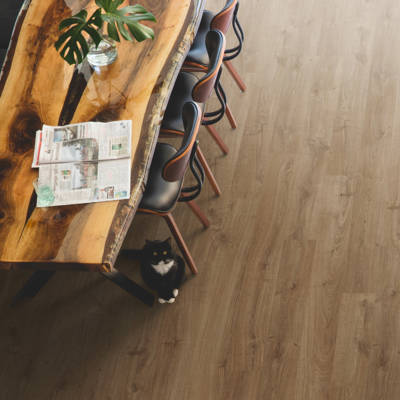 quick step new castle oak brown laminate floor in dining space with cat