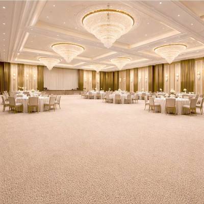 Wall To Wall Carpet Hote Ballroom Banquet CRP BEAUL FAYE 01