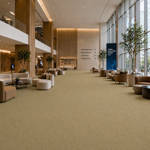 Wall To Wall Carpet BCM Savage Abundance CRP BLT SA 06 Modern Conference Center Lobby