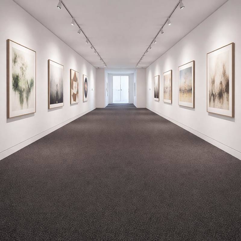 Wall To Wall Carpet For Modern Art Gallery CRP BEAUL JAIP 05