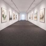 Wall To Wall Carpet For Modern Art Gallery CRP BEAUL JAIP 05