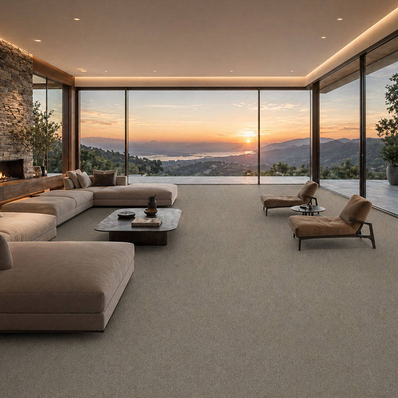 Wall To Wall Carpet BCM Savage Abundance CRP BLT SA 04 Modern Lounge With Sunset