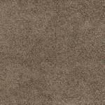 Standard Carpet Magic Moment CRP STDCRP POSH60 04