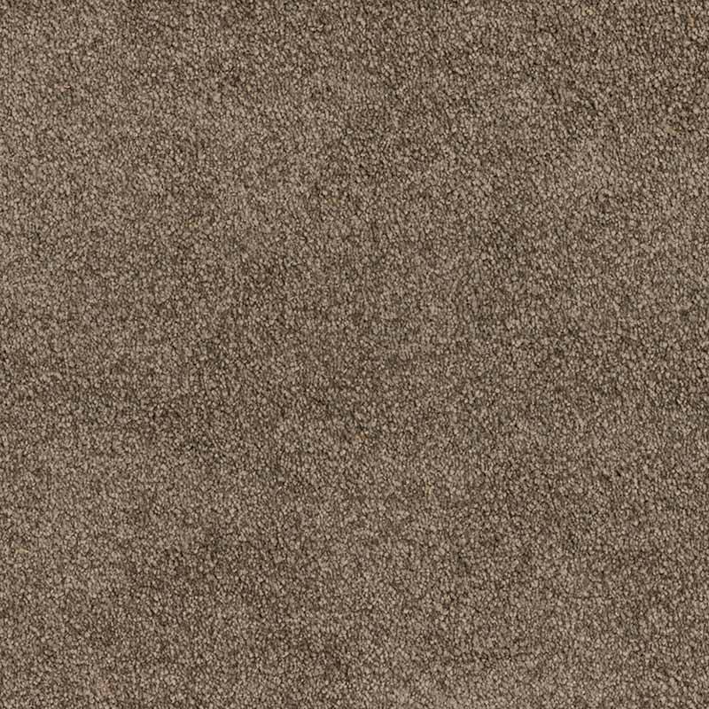 Standard Carpet Magic Moment CRP STDCRP POSH60 04