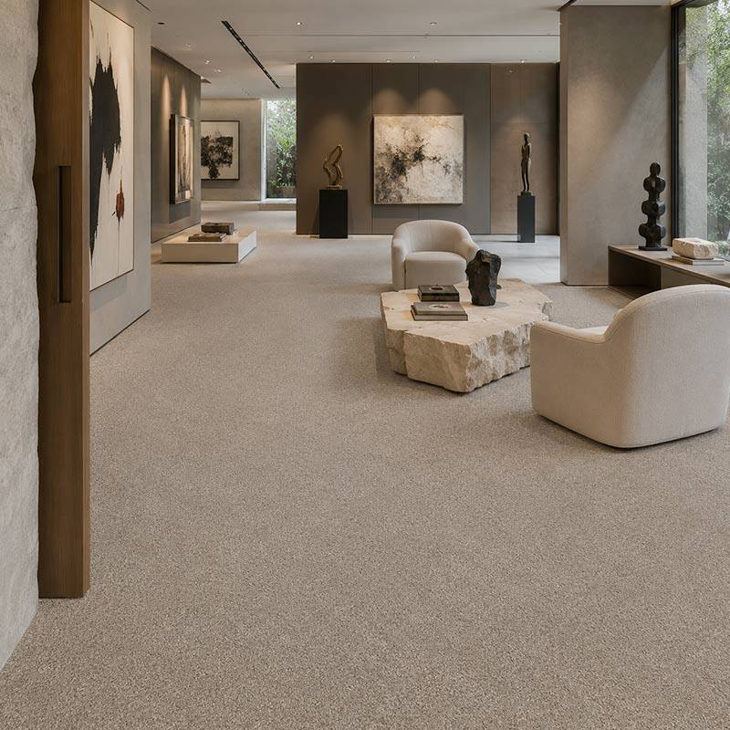Wall To Wall Carpet Standard Carpets Magic Moment CRP STDCRP POSH60 03 Luxury Gallery Living Room