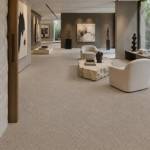 Wall To Wall Carpet Standard Carpets Magic Moment CRP STDCRP POSH60 03 Luxury Gallery Living Room