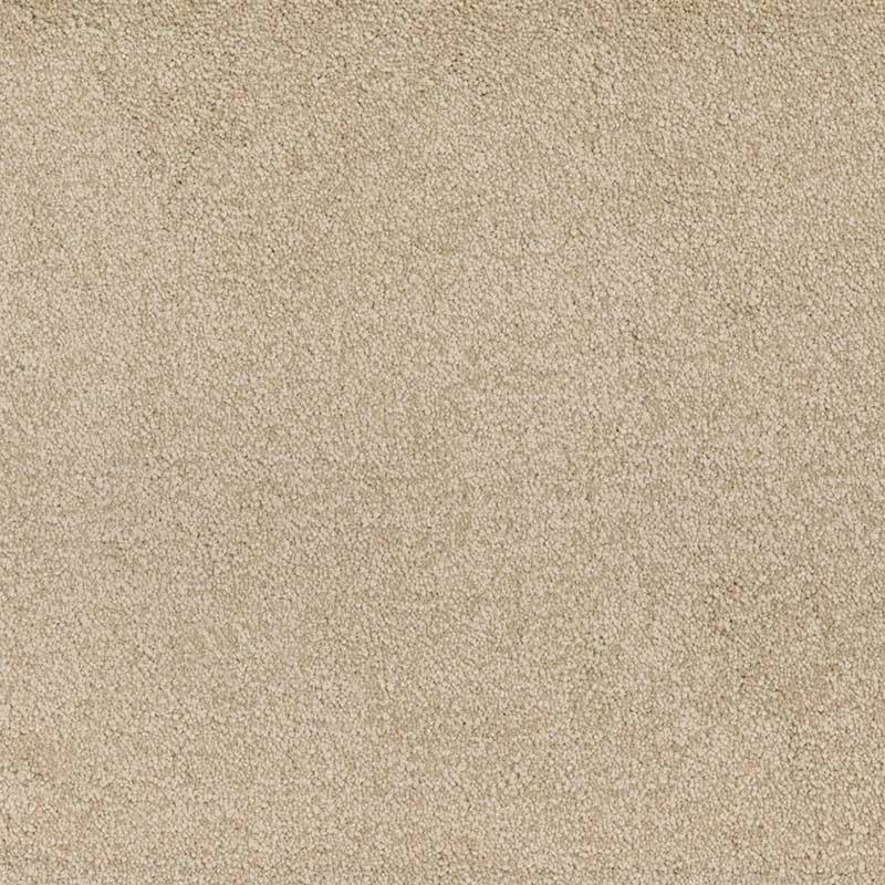 Standard Carpet Magic Moment CRP STDCRP POSH60 02