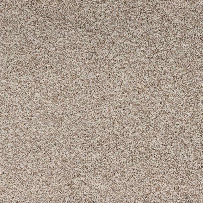 Standard Carpet Homelane CRP STDCRP HOMEL 02