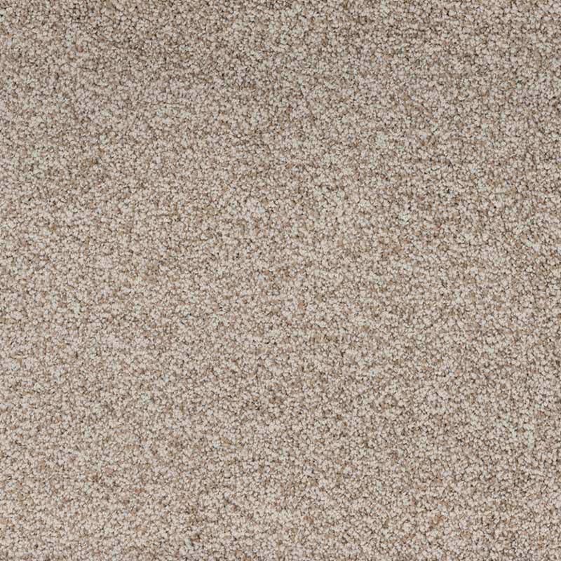 Standard Carpet Homelane CRP STDCRP HOMEL 02