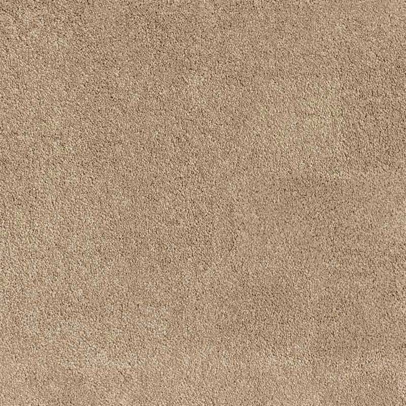 Amaryllis Carpet Tiles CRP BLT AMRS 05