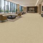 Wall To Wall Carpet Tiles Balta Marilyn CRB BLT MRLN 01 Executive Waiting Lounge