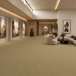 Wall To Wall Carpet BCM Savage Abundance CRP BLT SA 06 Modern Minimalist Gallery Lounge Interior