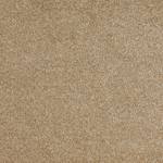 Wall To Wall Carpet Tiles CRP BLT GLOR 04