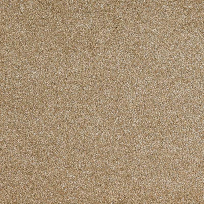 Wall To Wall Carpet Tiles CRP BLT GLOR 04