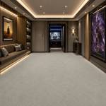 Wall To Wall Carpet Standard Carpets Magic Moment CRP STDCRP POSH60 05 Cinema Corridor