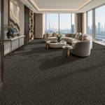 Wall To Wall Carpet Standard Carpets Magic Moment CRP STDCRP POSH60 07 Modern Living Room