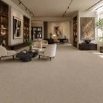 Wall To Wall Carpet Standard Carpets Seabrook CRP STDCRP SEAB 06 Modern Living Space
