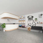 eclipse eviana m93 sheet vinyl flooring in vet clinic