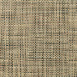 Cotton Fiber