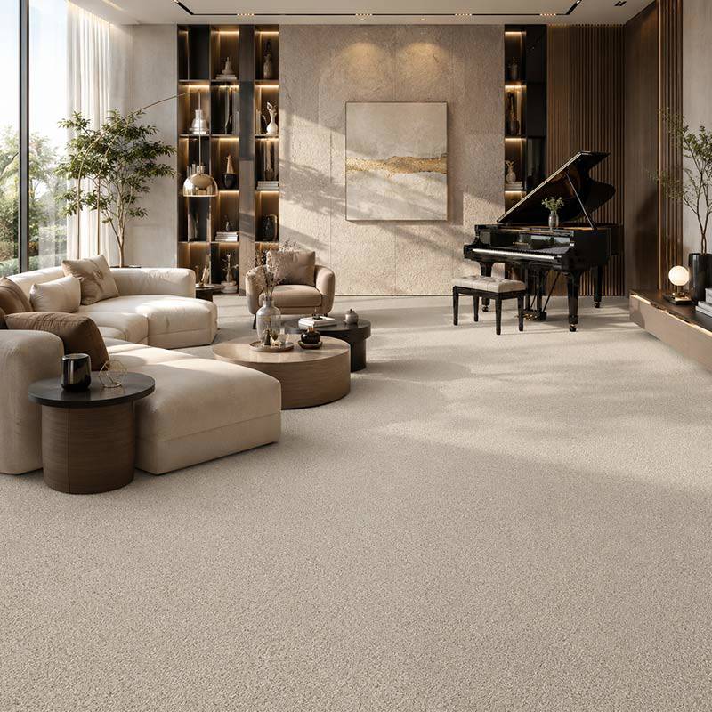 Wall To Wall Carpet Standard Carpets Magic Moment CRP STDCRP POSH60 01 Living Room